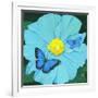 Blue Flower-Scott Westmoreland-Framed Art Print