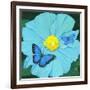 Blue Flower-Scott Westmoreland-Framed Art Print