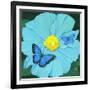 Blue Flower-Scott Westmoreland-Framed Art Print