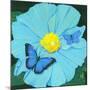 Blue Flower-Scott Westmoreland-Mounted Art Print