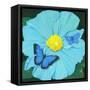 Blue Flower-Scott Westmoreland-Framed Stretched Canvas