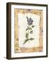 Blue Flower-Hope Street Designs-Framed Giclee Print