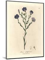 Blue Flowered Flax, Linum Usitatissimum-James Sowerby-Mounted Giclee Print