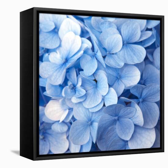 Blue Flowers-null-Framed Stretched Canvas