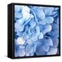 Blue Flowers-null-Framed Stretched Canvas