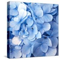 Blue Flowers-null-Stretched Canvas