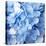 Blue Flowers-null-Stretched Canvas