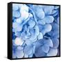 Blue Flowers-null-Framed Stretched Canvas