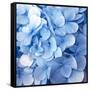 Blue Flowers-null-Framed Stretched Canvas