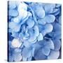 Blue Flowers-null-Stretched Canvas