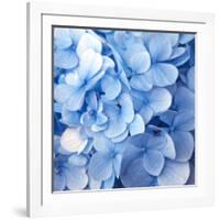 Blue Flowers-null-Framed Photographic Print