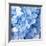 Blue Flowers-null-Framed Photographic Print