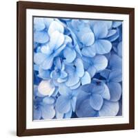 Blue Flowers-null-Framed Photographic Print