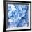 Blue Flowers-null-Framed Photographic Print