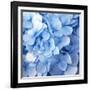 Blue Flowers-null-Framed Photographic Print