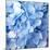 Blue Flowers-null-Mounted Photographic Print