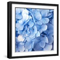 Blue Flowers-null-Framed Photographic Print