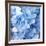 Blue Flowers-null-Framed Photographic Print