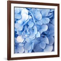 Blue Flowers-null-Framed Photographic Print