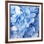 Blue Flowers-null-Framed Photographic Print