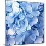 Blue Flowers-null-Mounted Photographic Print
