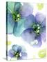 Blue Flowers-Dawn Derman-Stretched Canvas