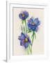 Blue Flowers-ZPR Int’L-Framed Giclee Print