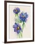 Blue Flowers-ZPR Int’L-Framed Giclee Print