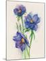 Blue Flowers-ZPR Int’L-Mounted Giclee Print