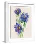 Blue Flowers-ZPR Int’L-Framed Giclee Print