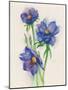 Blue Flowers-ZPR Int’L-Mounted Giclee Print