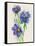 Blue Flowers-ZPR Int’L-Framed Stretched Canvas