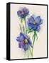Blue Flowers-ZPR Int’L-Framed Stretched Canvas