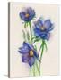 Blue Flowers-ZPR Int’L-Stretched Canvas