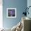 Blue Flowers-Skarlett-Framed Giclee Print displayed on a wall