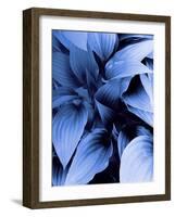 Blue Foliage-Dominique Vari-Framed Art Print