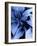 Blue Foliage-Dominique Vari-Framed Art Print