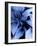 Blue Foliage-Dominique Vari-Framed Art Print