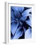 Blue Foliage-Dominique Vari-Framed Art Print