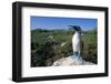 Blue Footed Boobie in Galapagos Islands National Park-Paul Souders-Framed Photographic Print