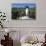 Blue Footed Boobie in Galapagos Islands National Park-Paul Souders-Photographic Print displayed on a wall