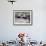 Blue-Footed Boobies in Skypointing Display, Galapagos Islands, Ecuador-Jim Zuckerman-Framed Photographic Print displayed on a wall