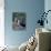 Blue-Footed Boobies of the Galapagos Islands, Ecuador-Stuart Westmoreland-Photographic Print displayed on a wall