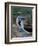 Blue-Footed Boobies of the Galapagos Islands, Ecuador-Stuart Westmoreland-Framed Photographic Print