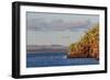 Blue-Footed Boobies (Sula Nebouxii) Plunge-Diving for Small Fish Off Rabida Island-Michael Nolan-Framed Photographic Print