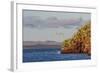 Blue-Footed Boobies (Sula Nebouxii) Plunge-Diving for Small Fish Off Rabida Island-Michael Nolan-Framed Photographic Print