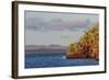 Blue-Footed Boobies (Sula Nebouxii) Plunge-Diving for Small Fish Off Rabida Island-Michael Nolan-Framed Photographic Print