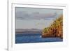 Blue-Footed Boobies (Sula Nebouxii) Plunge-Diving for Small Fish Off Rabida Island-Michael Nolan-Framed Photographic Print