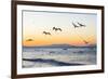 Blue-Footed Boobies (Sula Nebouxii) Plunge-Diving for Small Fish Off Rabida Island-Michael Nolan-Framed Photographic Print