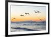 Blue-Footed Boobies (Sula Nebouxii) Plunge-Diving for Small Fish Off Rabida Island-Michael Nolan-Framed Photographic Print